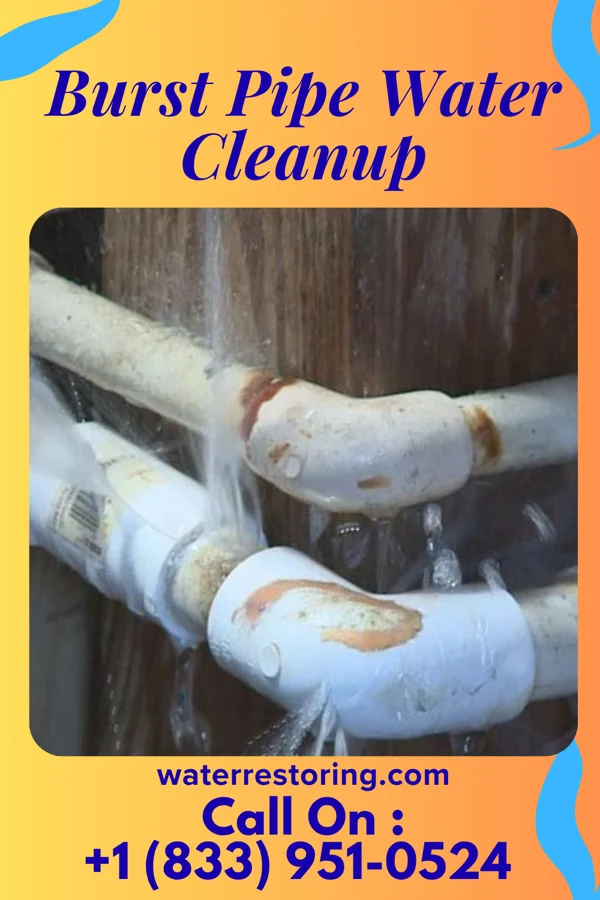 Burst Pipe Water Cleanup in Delshire, OH