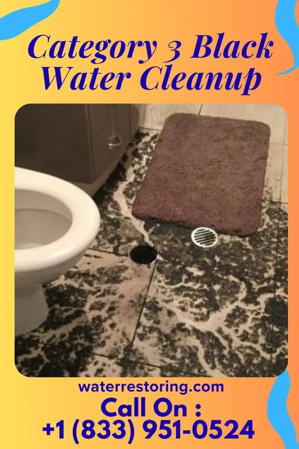 Category 3 Black Water Cleanup in Delshire, OH