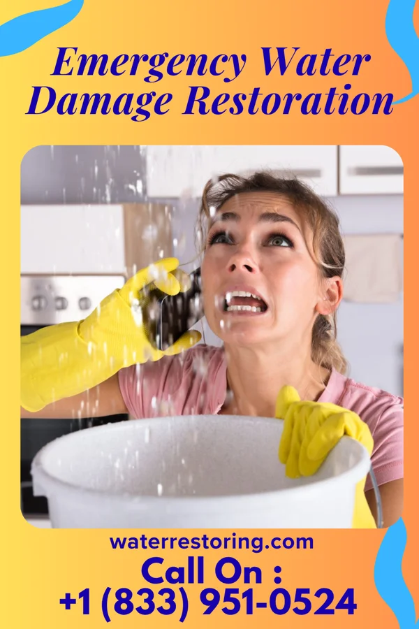 Emergency Water Damage Restoration in Delshire, OH