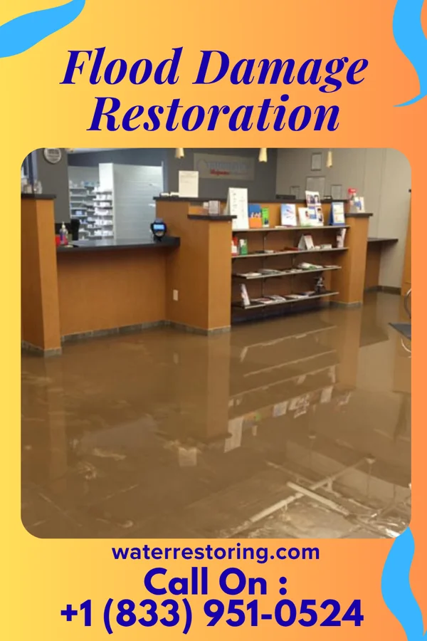 Flood Damage Restoration in Delshire, OH