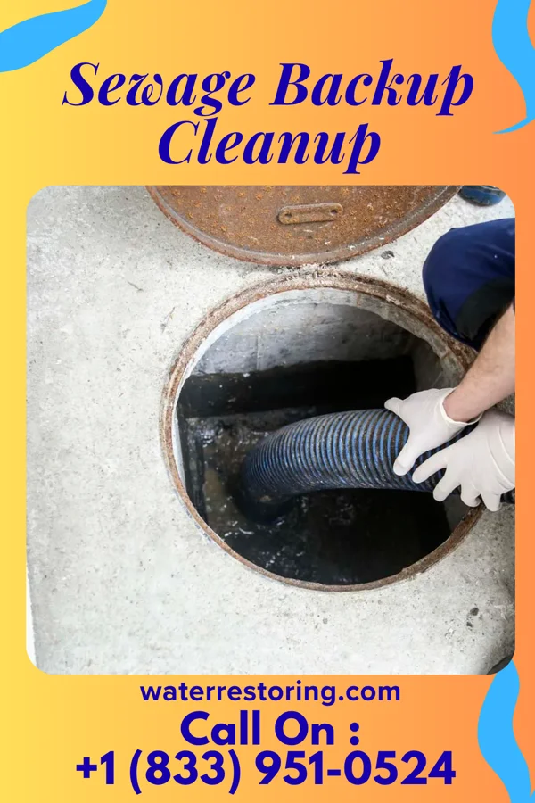 Sewage Backup Cleanup in Delshire, OH